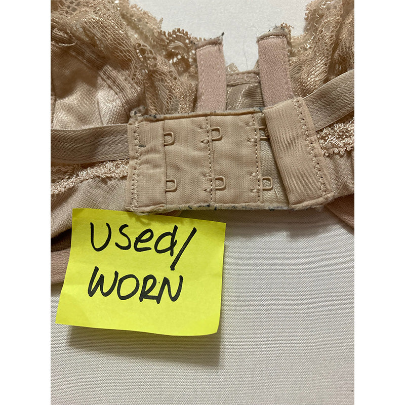 NWD Bali Lace Desire Non-foam Underwire Champagne Shimmer 36C