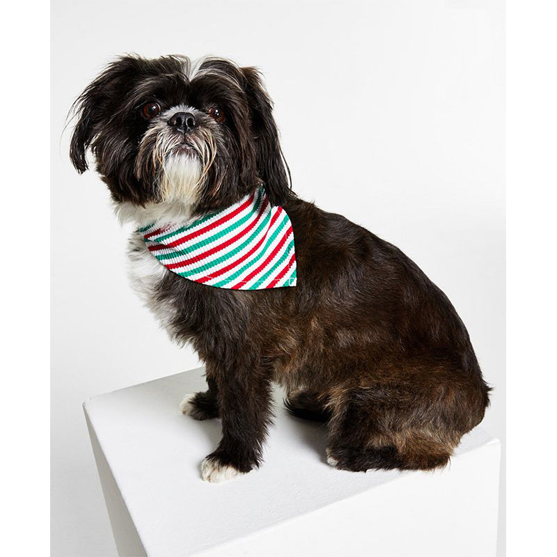 Matching Pet Thermal Waffle Holiday Stripe Bandana Multicolor S/M