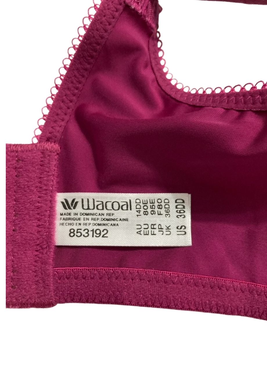 WACOAL Basic Beauty T-Shirt Bra BERRY FIZZ 36DD
