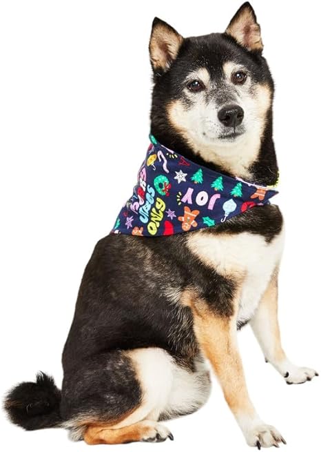 Family PJ's Pet's Matching Holiday Toss Cotton Pet Bandana MULTICOLOR L