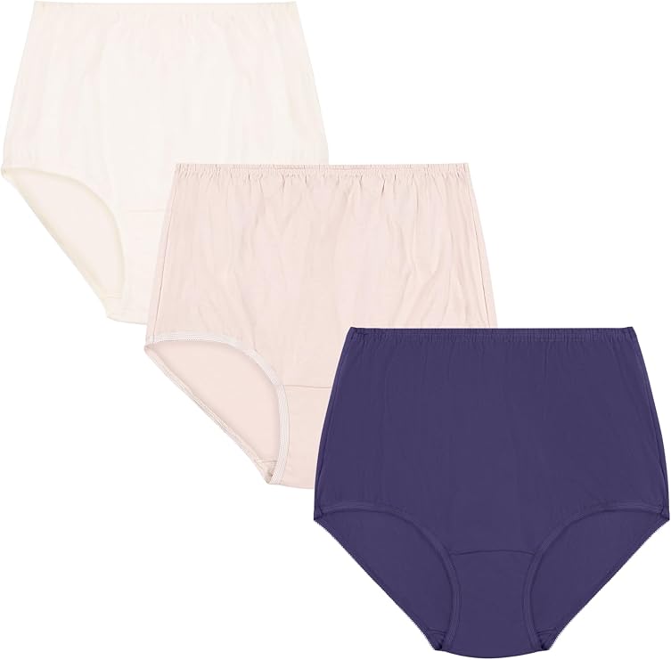 VANITY FAIR Perfectly Yours Traditional Nylon Brief Panties ASSORTED