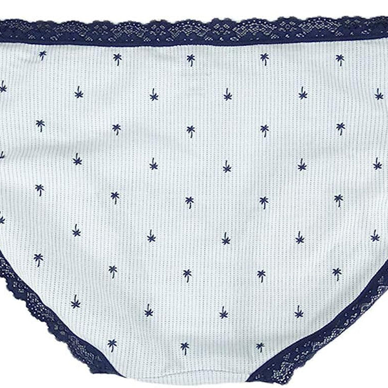 Jenni by Jennifer Moore Cotton Lace Trim Hipster Striped Palm XXXL