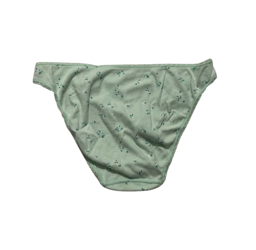 NWD CHARTER CLUB Pretty Everyday Cotton Bikini Underwear GREEN MINT L