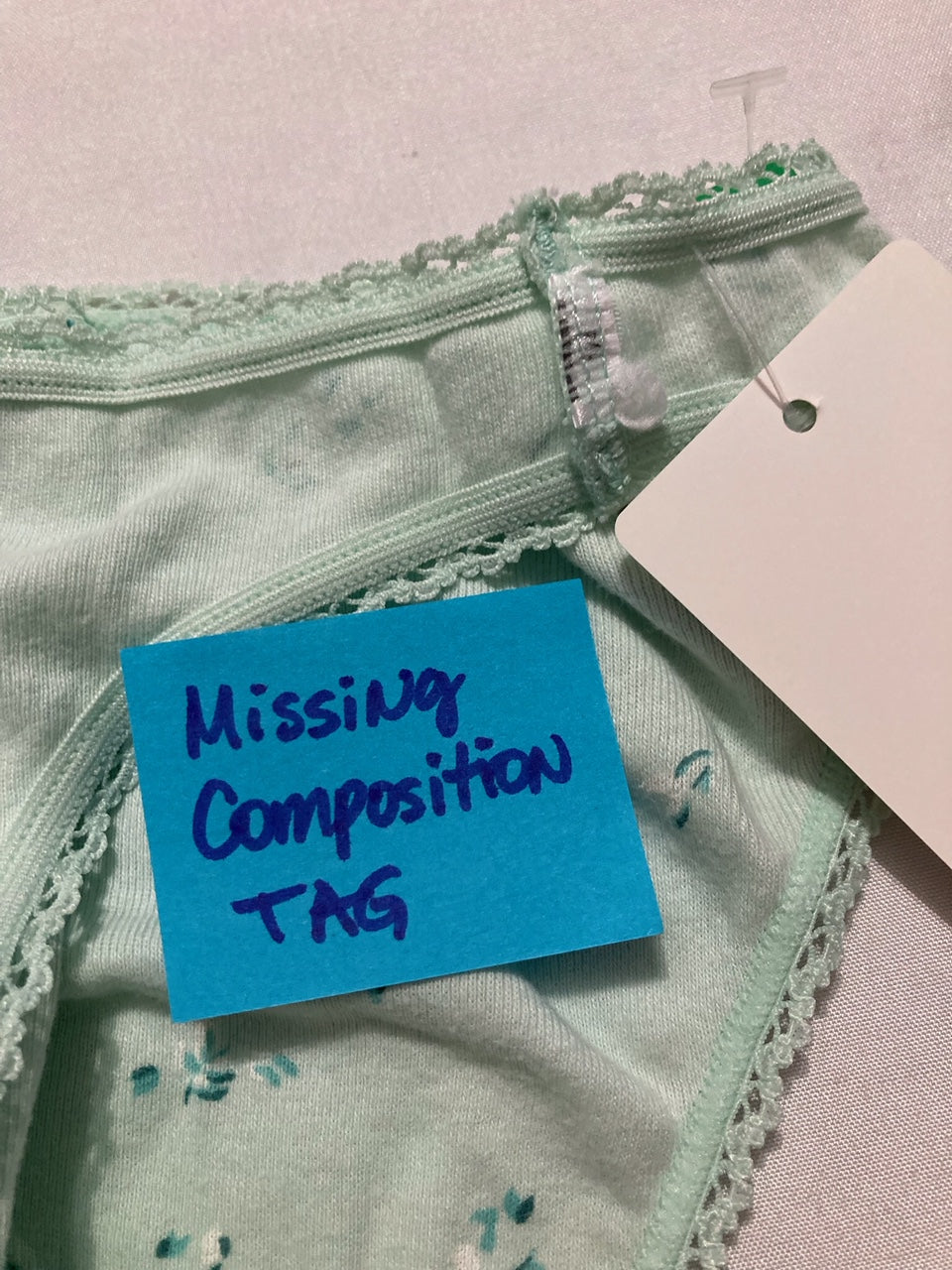 NWD CHARTER CLUB Pretty Everyday Cotton Bikini Underwear GREEN MINT L