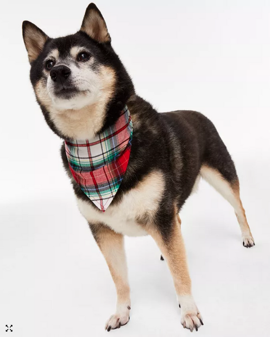 HOLIDAY LANE Winterton Plaid Matching Family Pet Bandana RED S/M